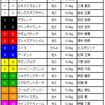 [第32回]MIWAのヘッポコ競馬予想～京成杯AH