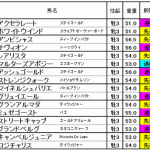 [第476回]MIWAのヘッポコ競馬予想～ラジオＮＩＫＫＥＩ賞G3編